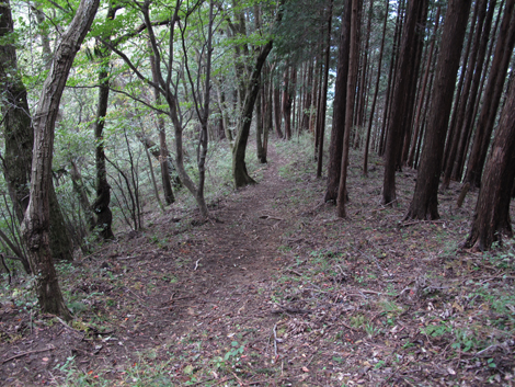 20181016hike (69)